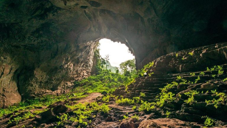 Cueva pigmea, Phong Nha